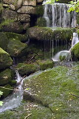 Image showing Stream in the Green