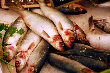 Image showing Whole fish