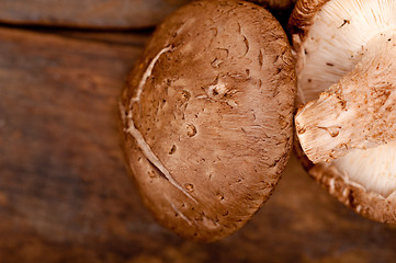 Image showing shiitake mushrooms