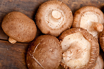 Image showing shiitake mushrooms