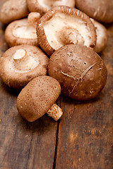 Image showing shiitake mushrooms