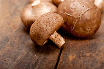 Image showing shiitake mushrooms