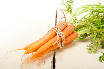 Image showing baby carrots bunch tied with rope