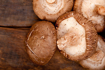 Image showing shiitake mushrooms