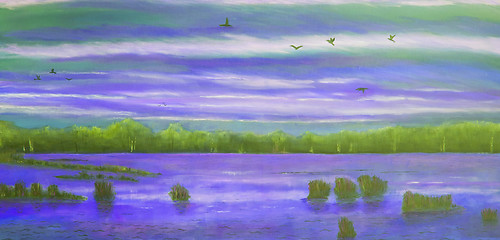 Image showing Sunset at the lake, birds in the sky