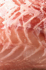 Image showing Raw fish fillet