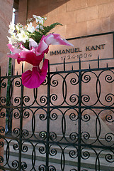 Image showing Flower on the fence of grave