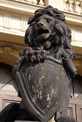 Image showing Lion