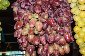 Image showing Selling grapes on the market