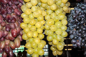 Image showing Selling grapes on the market