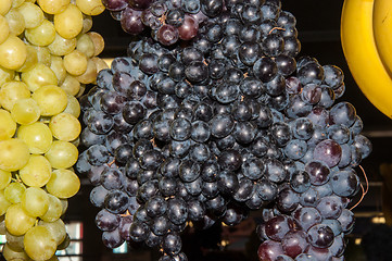 Image showing Selling grapes on the market