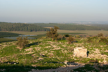 Image showing Historical ruins in Israel