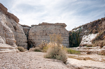 Image showing Water spring in a desert