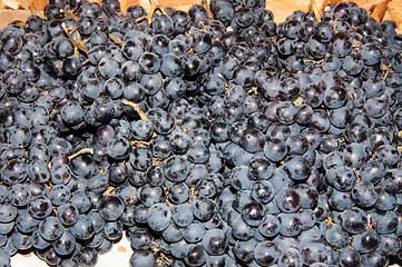 Image showing Selling grapes on the market