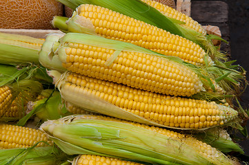 Image showing Corn is on sale at the Bazaar