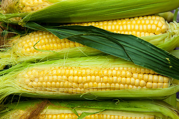 Image showing Corn is on sale at the Bazaar