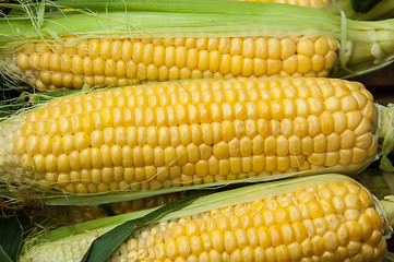 Image showing Corn is on sale at the Bazaar