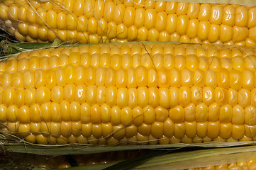 Image showing Corn is on sale at the Bazaar