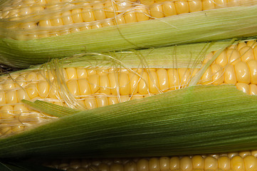 Image showing Corn is on sale at the Bazaar