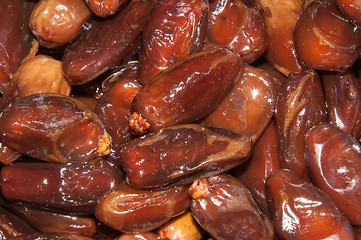 Image showing Tunisian Dates