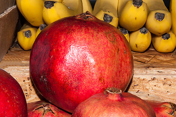 Image showing Fresh fruit sold in the Bazaar