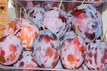 Image showing Fresh fruit sold in the Bazaar