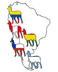 Image showing Lama South America