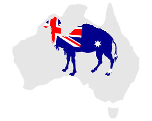 Image showing Australian camel