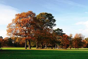 Image showing Autumn Park