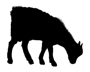 Image showing Goat silhouette 