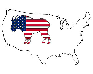 Image showing Mountain goat USA