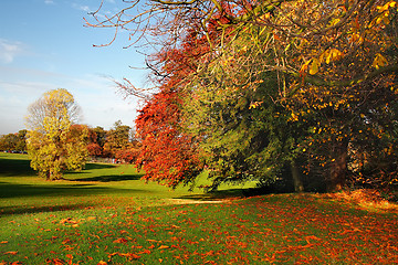 Image showing Colorful Autumn Scene