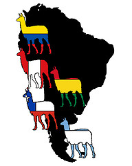 Image showing Lama South America