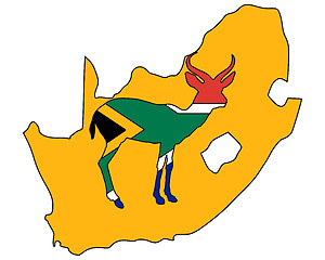 Image showing South Africa antilope