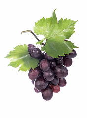 Image showing Grape cluster with leaves isolated