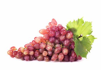 Image showing Grape cluster with leaves isolated
