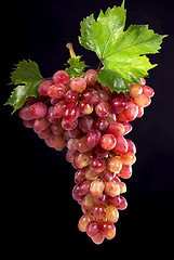 Image showing Grape cluster with leaves isolated