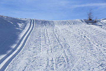 Image showing Cross-country skiing trail