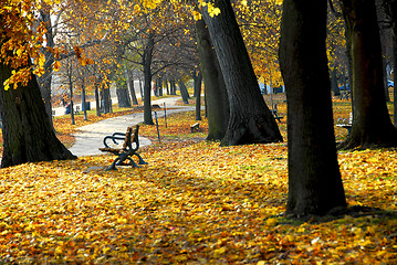 Image showing Autumn park