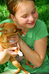 Image showing Girl with a dog