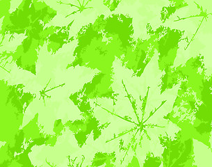 Image showing Leaf grunge