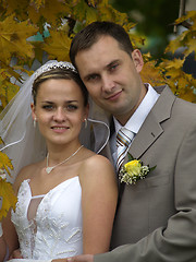 Image showing Just married portrait in maple leaves