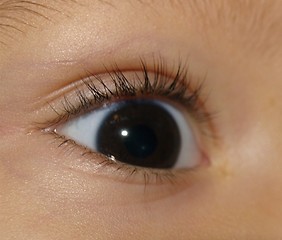 Image showing baby eye