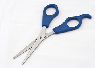 Image showing Scissors