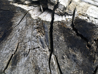 Image showing wood