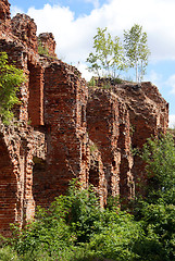 Image showing Tree on the wall