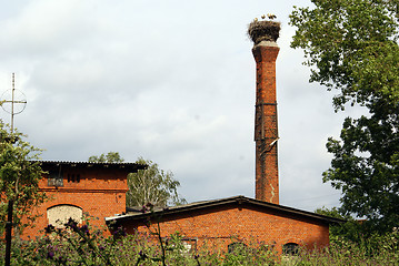 Image showing Nest on the top of tower