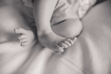 Image showing Newborn baby feet