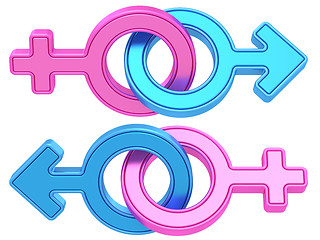 Image showing Set of male and female gender symbols chained together on white