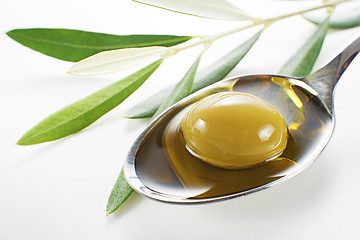 Image showing Olive oil